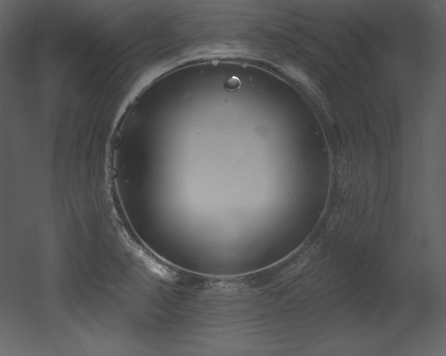 X0000053021374200507081315