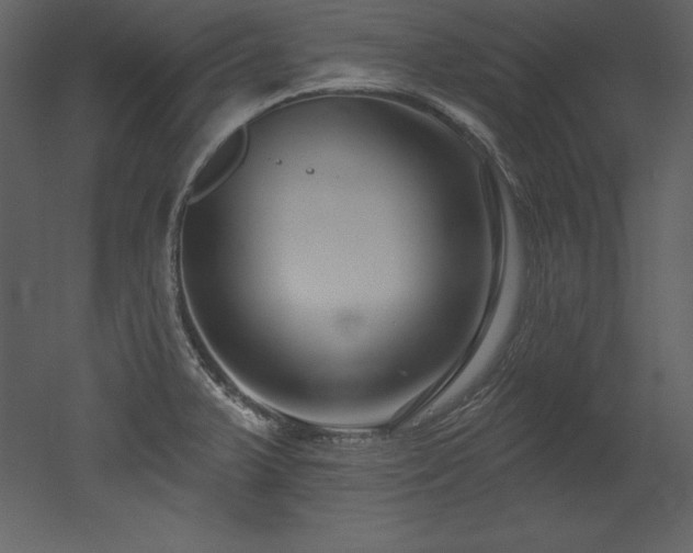 X0000053021375200507081315