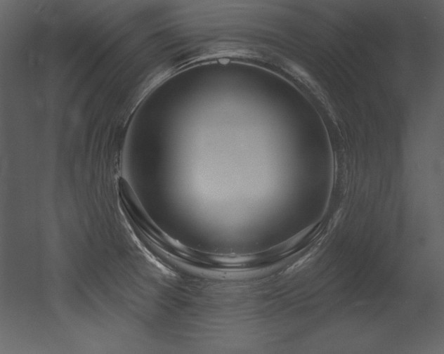X0000053021377200507081315