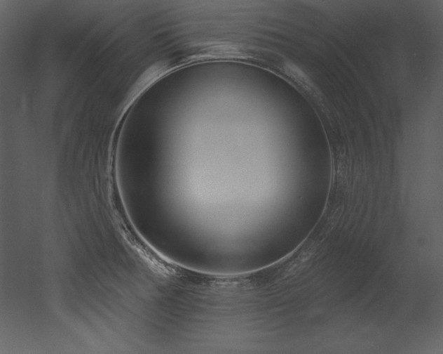 X0000053021378200507081315