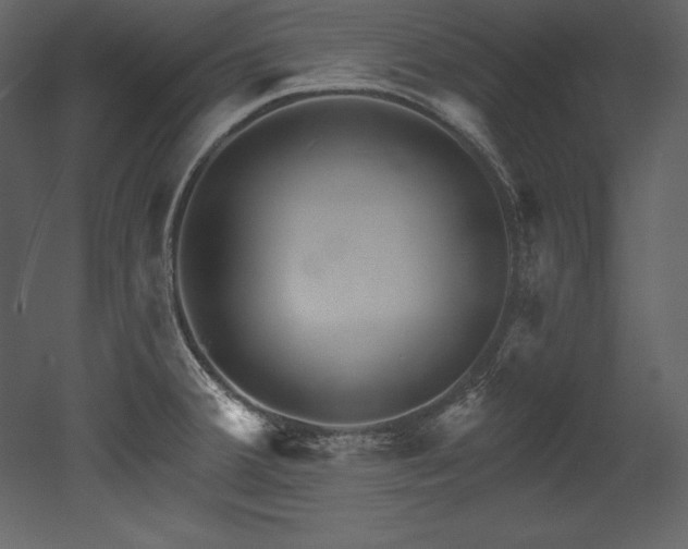 X0000053021380200507081314