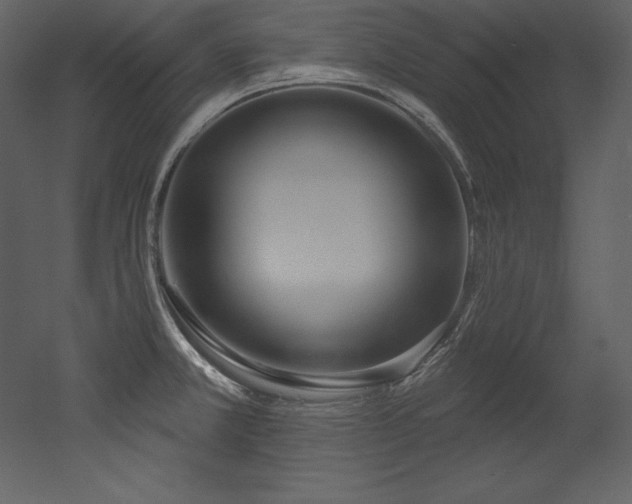 X0000053021381200507081314