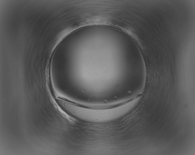 X0000053021383200507081314
