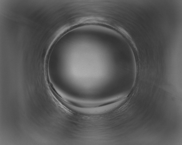 X0000053021384200507081314