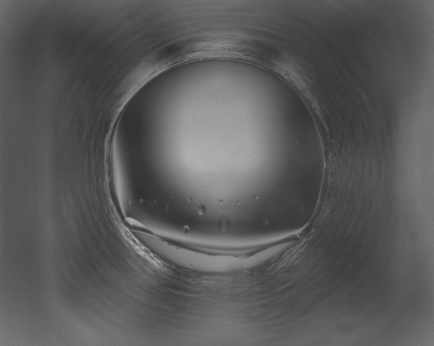 X0000053021386200507081314