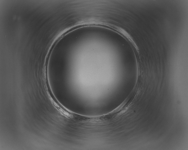 X0000053021388200507081314