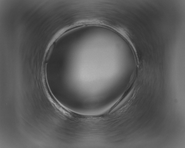 X0000053021389200507081314