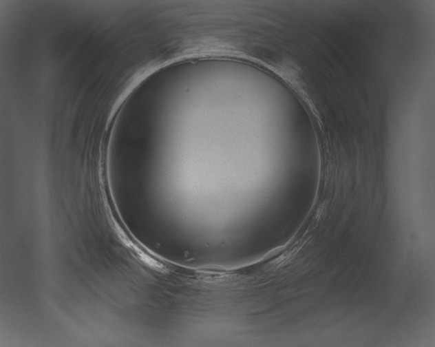 X0000053021390200507081314
