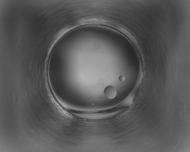 X0000053021392200507081314