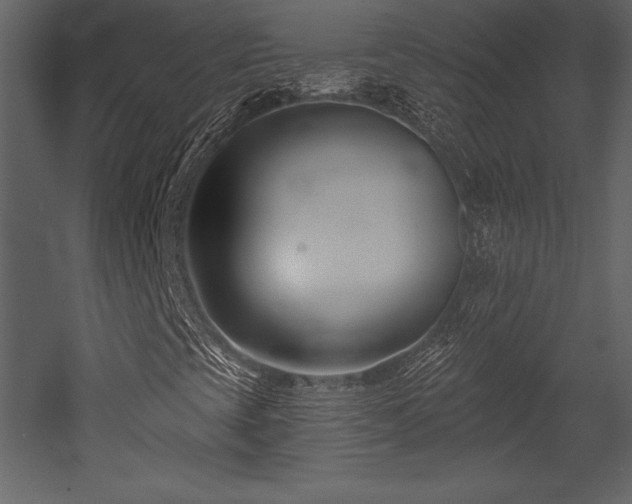 X0000053021393200507081313