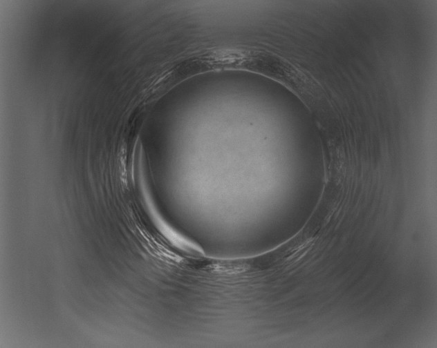 X0000053021394200507081313