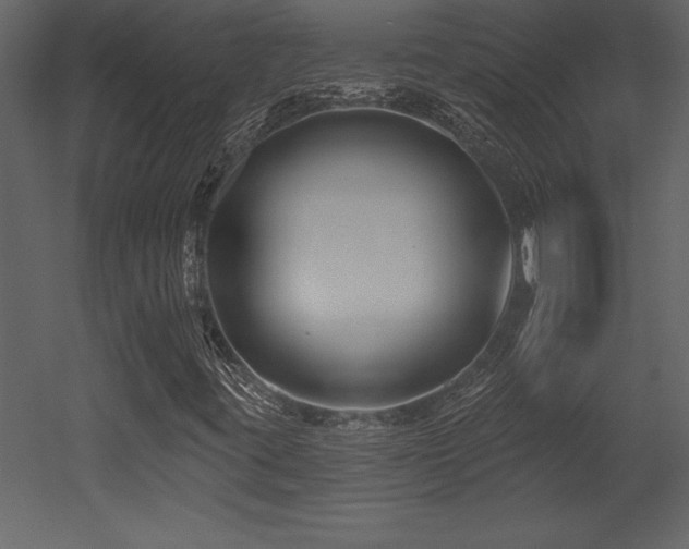 X0000053021395200507081313
