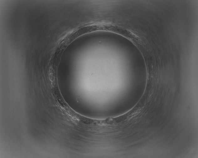 X0000053021398200507081314