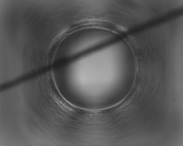 X0000053021403200507081314