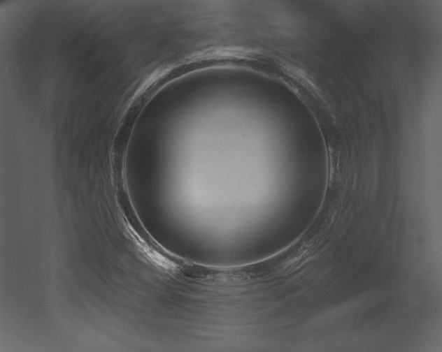 X0000053021404200507081314