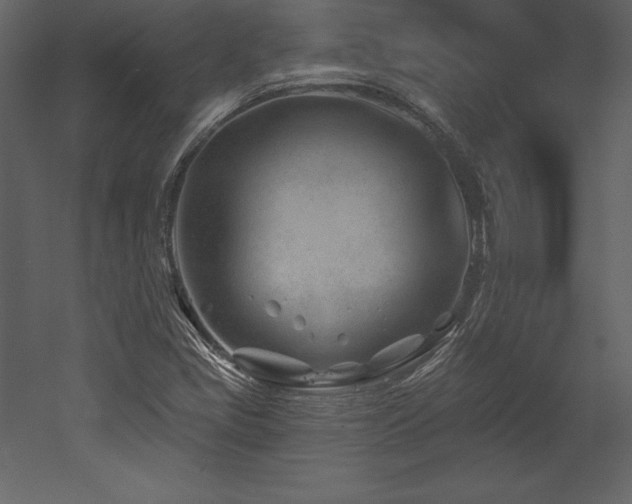 X0000053021405200507081314