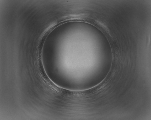 X0000053021411200507081314