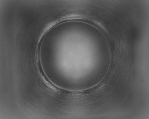 X0000053021413200507081314