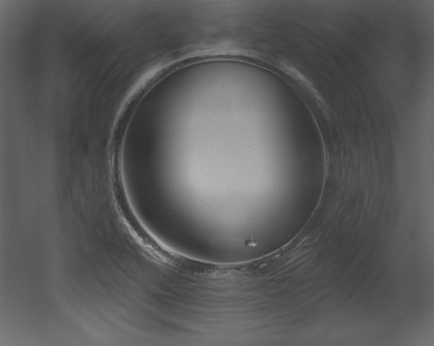 X0000053021416200507081314