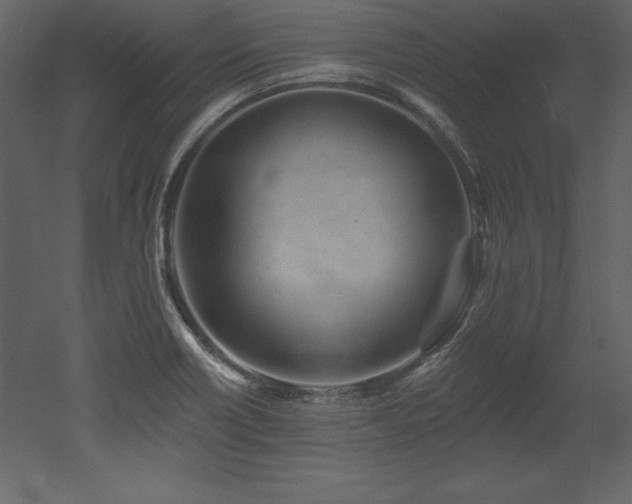 X0000053021418200507081314