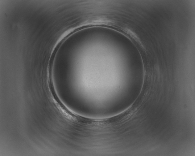 X0000053021420200507081314
