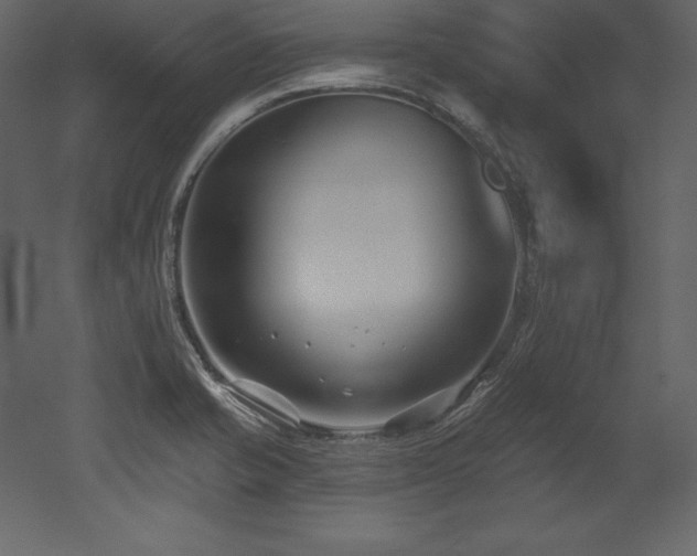 X0000053021421200507081314