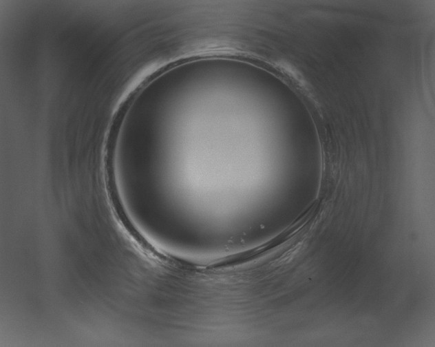X0000053021422200507081314