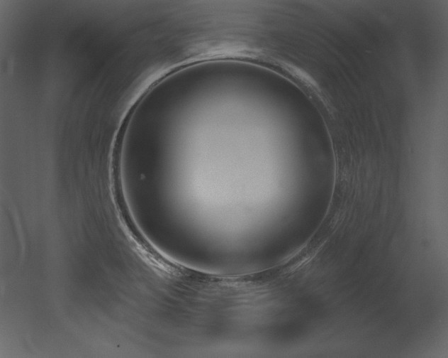 X0000053021423200507081314