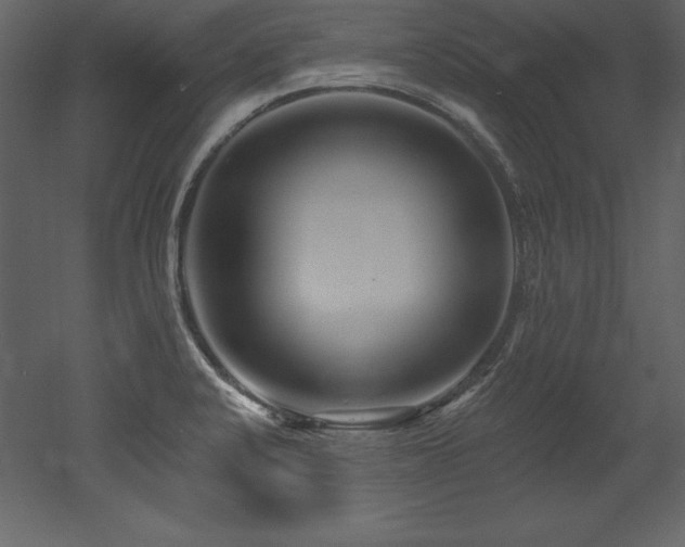 X0000053021424200507081314