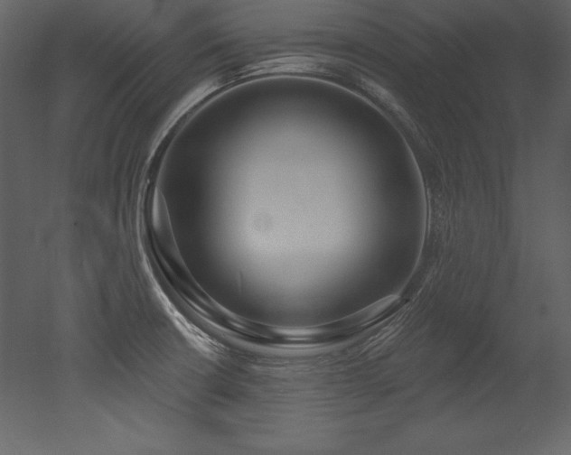 X0000053021426200507081314
