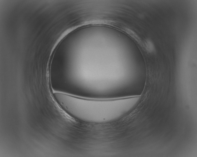 X0000053021428200507081314