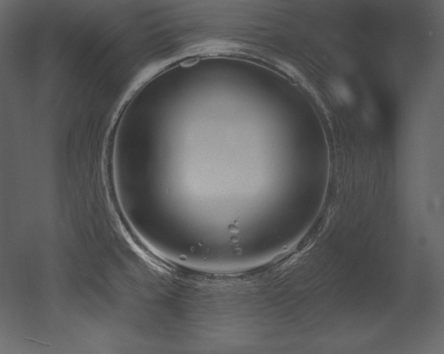 X0000053021429200507081314