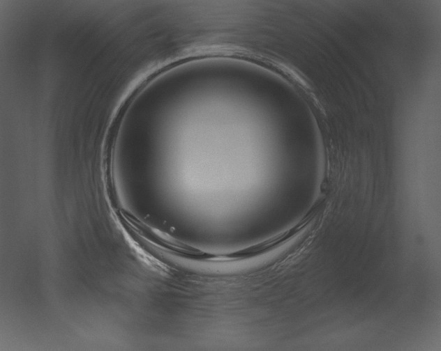 X0000053021430200507081314