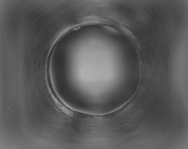 X0000053021431200507081314