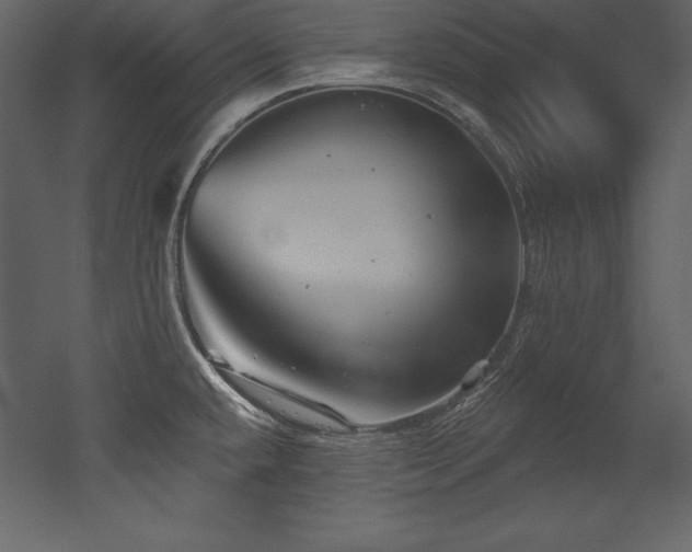 X0000053021432200507081314