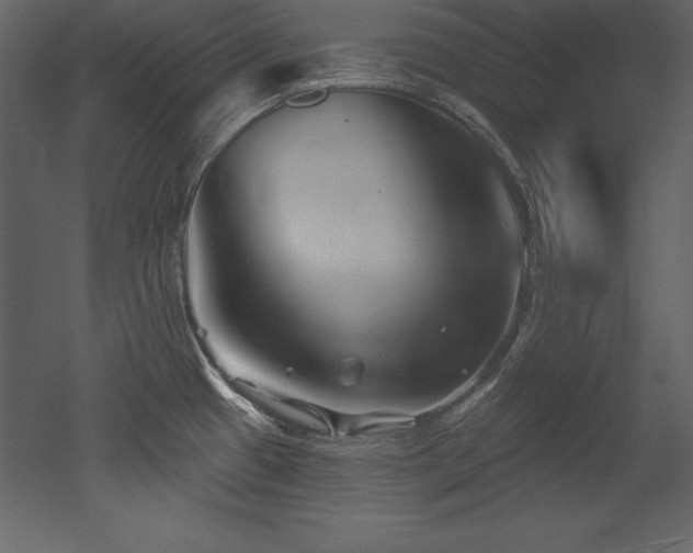 X0000053021433200507081314