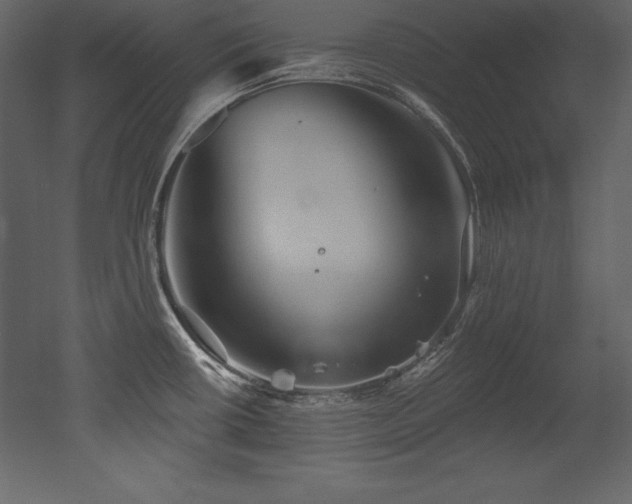 X0000053021434200507081314