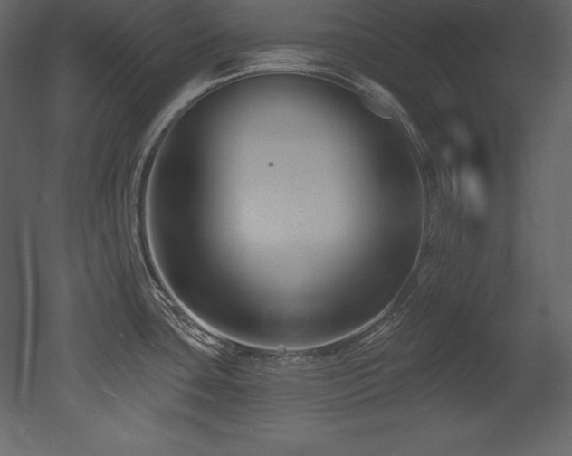 X0000053021435200507081314