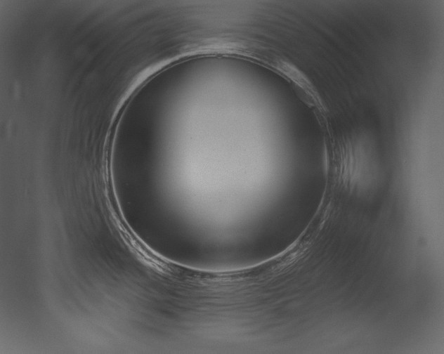 X0000053021436200507081314