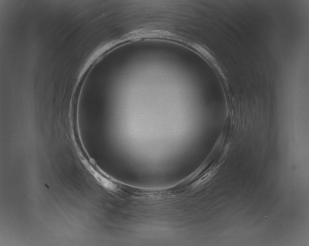 X0000053021438200507081314