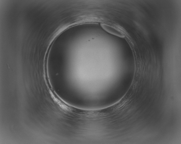 X0000053021439200507081314