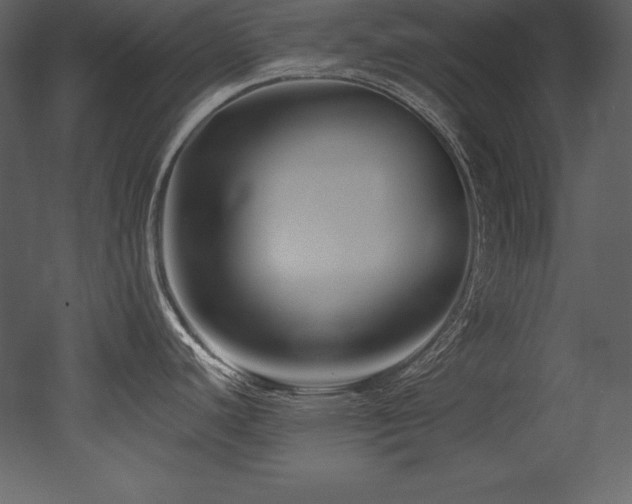 X0000053021440200507081314
