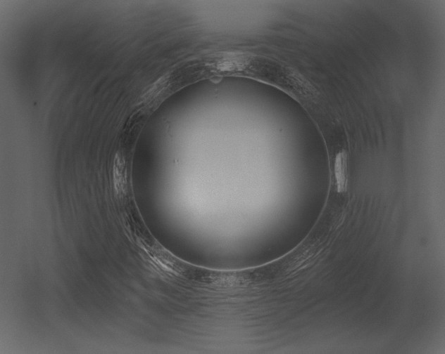 X0000053021443200507081313