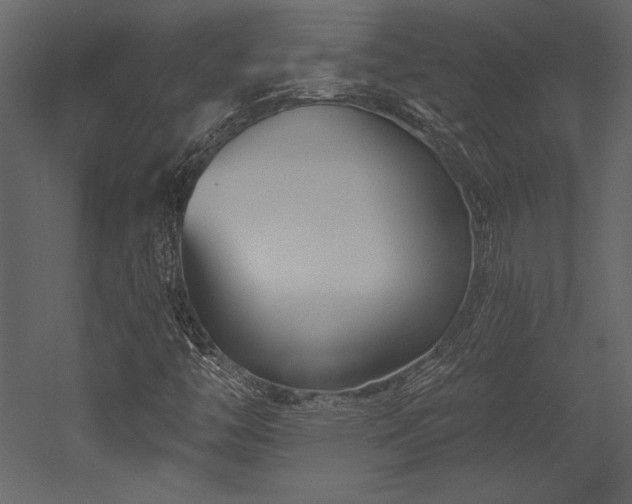X0000053021446200507081313