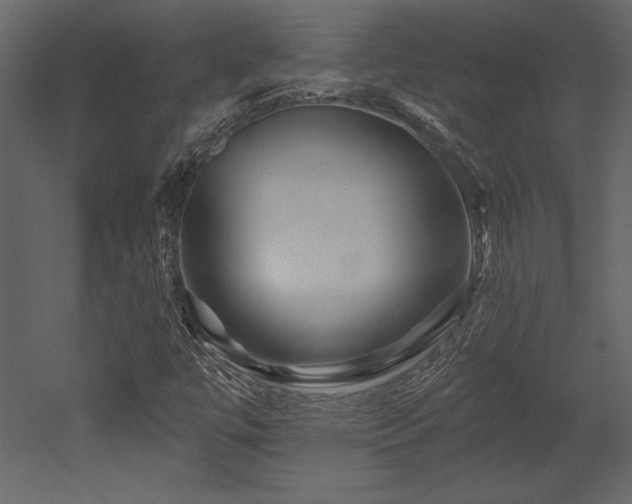 X0000053021447200507081313