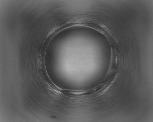 X0000053021449200507081313