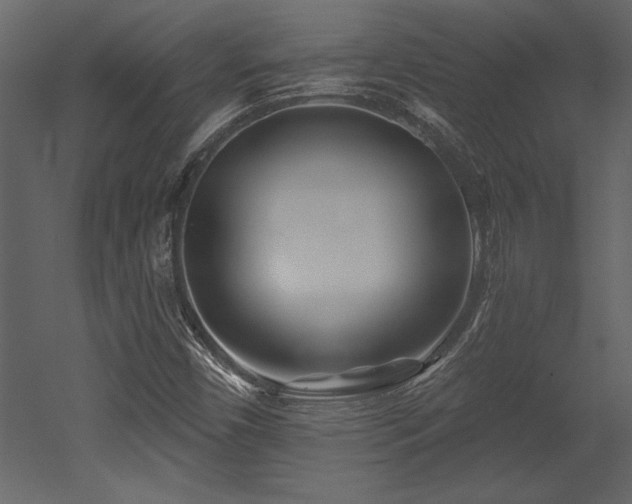 X0000053021450200507081313