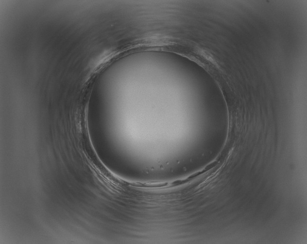 X0000053021451200507081313
