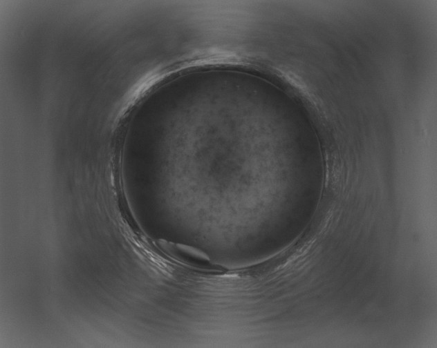 X0000053021455200507081313