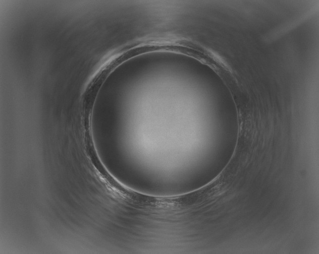 X0000053021456200507081313